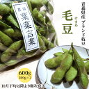 【ふるさと納税】農園 葉菜言葉のおいしい毛豆 600g 令和6年産｜青森県産 枝豆 ブランド枝豆 おつまみ 大粒豆 けまめ えだまめ 2024年産 [0532]