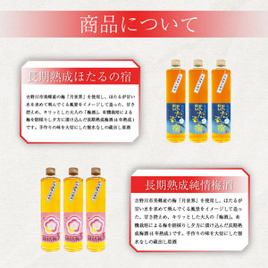 梅酒 飲み比べ 純情梅酒 ほたるの宿 長期熟成 熟成 500ml 計2本 梅酒 梅酒 梅酒