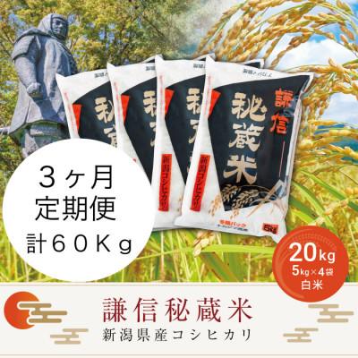 ふるさと納税 上越市 【毎月定期便】謙信秘蔵米20kg全3回