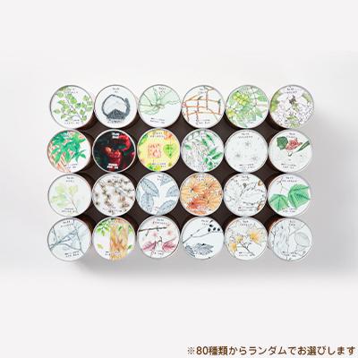 ふるさと納税 岩泉町 「いわての森の恵み缶」ランダム3缶set　“木のたまごコロロ” |  | 01