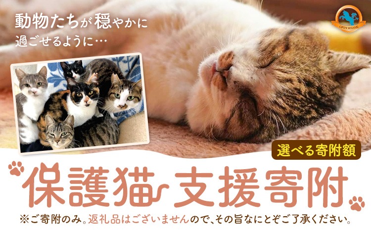【返礼品なし】保護猫支援寄附 一般社団法人オープンセサミアライブ 熊本県 南阿蘇村 保護猫 支援 猫 ネコ ねこ 生活支援 動物愛護 保護 返礼品なし 寄附 牧場 オープンセサミ アニマルサンクチュアリ---sms_opnekosien_r7_5500---