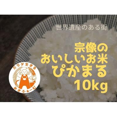 ふるさと納税 宗像市 【定期便/毎月お届け/全6回】むなかた産 米 ぴかまる 10kg【みきふぁーむ】_HB0170