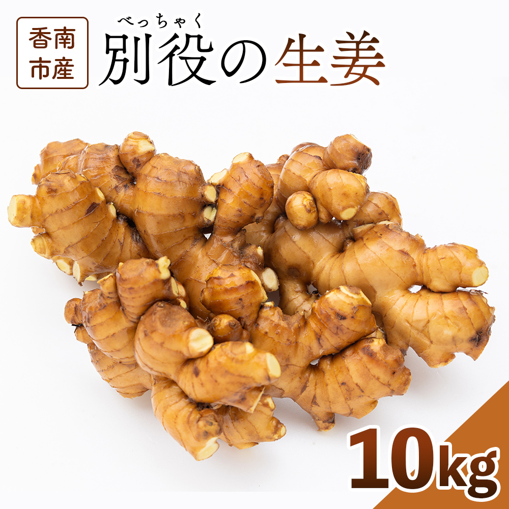 香南市産 別役の生姜 10kg - しょうが ショウガ ジンジャー 薬味 調味料 国産 株式会社べっちゃく 高知県 香南市 bc-0017