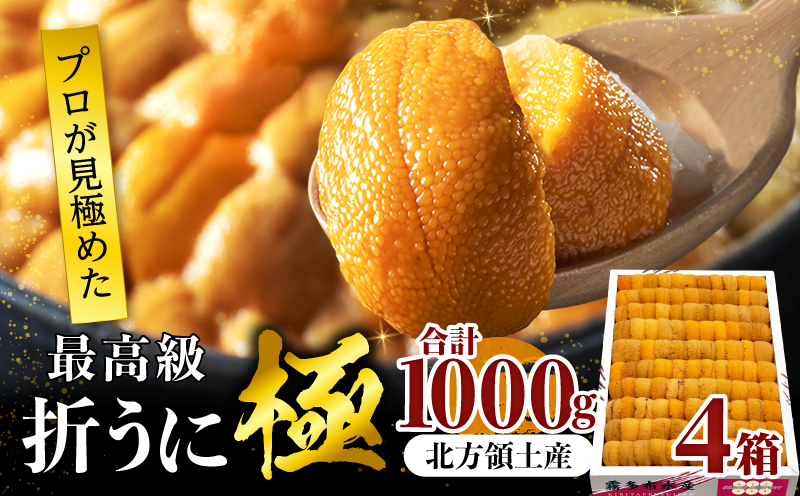 ≪プロ厳選≫最高級折うに(極)計1000g うに ウニ 雲丹 折うに 海鮮 海産物 北海道 浜中町 ふるさと納税 人気_H0014-103