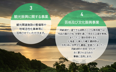 洞爺湖町 寄附のみの応援受付 10,000円コース（返礼品なし 寄附のみ 10,000円） 10000円 