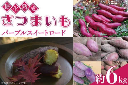 さつまいも 6kg パープルスイートロード 益子町 AU041