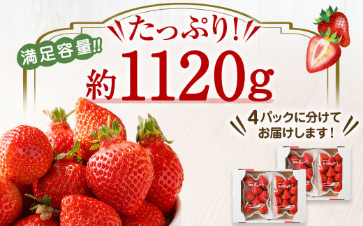 大粒セレクト！大人気のあまおう 280g×4パック【2025年1月～2月上旬お届け】【JAほたるの里】 _HA0274