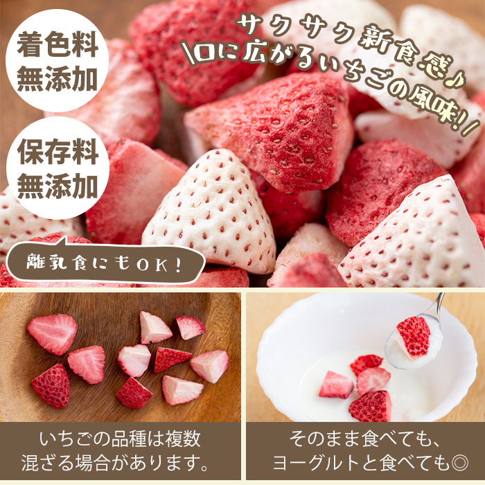 No.464 いちごのフリーズドライセット(赤いちご9g×3袋・白いちご8g×1袋) 【ままりあ農園】