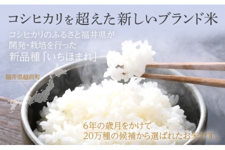 無洗米の定期便3回お届け！米どころ福井の無洗米！無洗米いちほまれ10kg×3回 [e27-d003] 福井県 無洗米 いちほまれ 定期便 3ヶ月連続 米 お米 福井県産無洗米 いちほまれ無洗米 おいし