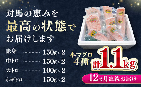 【全12回定期便】 対馬産 本マグロ 4種 計1.1kg（赤身/中トロ/大トロ/ネギトロ）[WAH039] マグロ まぐろ トロ