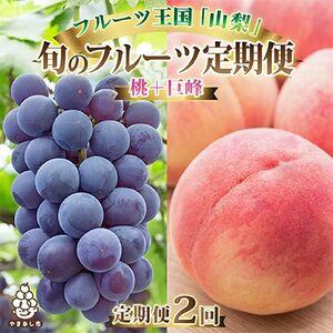 【発送月固定定期便】2025年発送 山梨フルーツ旬の果物 桃+種無し巨峰 全2回【配送不可地域：離島・沖縄県】【4005777】