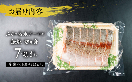 ふくい名水サーモン 切身 無塩 サーモン 鮭 トラウトサーモン さけ しゃけ サケ シャケ おかず 弁当 魚 焼き魚 焼鮭 ムニエル フライ 鮭フライ 魚介類 冷凍 真空 切り身 愛知県 田原市 渥美
