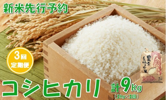 
                  【3回定期便】【令和８年産米 先行予約】コシヒカリ3kg　計9kg　佐藤
                