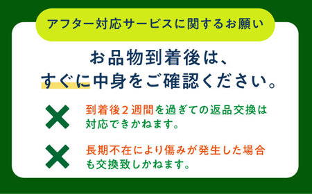 【先行予約】【小値賀町産】 大玉スイカ 1玉（約6から8kg）スイカ 長崎県産 フルーツ 果物[DAB082]
