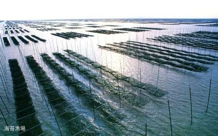 海王 一番摘み焼海苔 5枚入×7袋 計35枚 焼き海苔 板海苔 板のり のり 海苔 初摘み 香り 有明のり 有明海苔