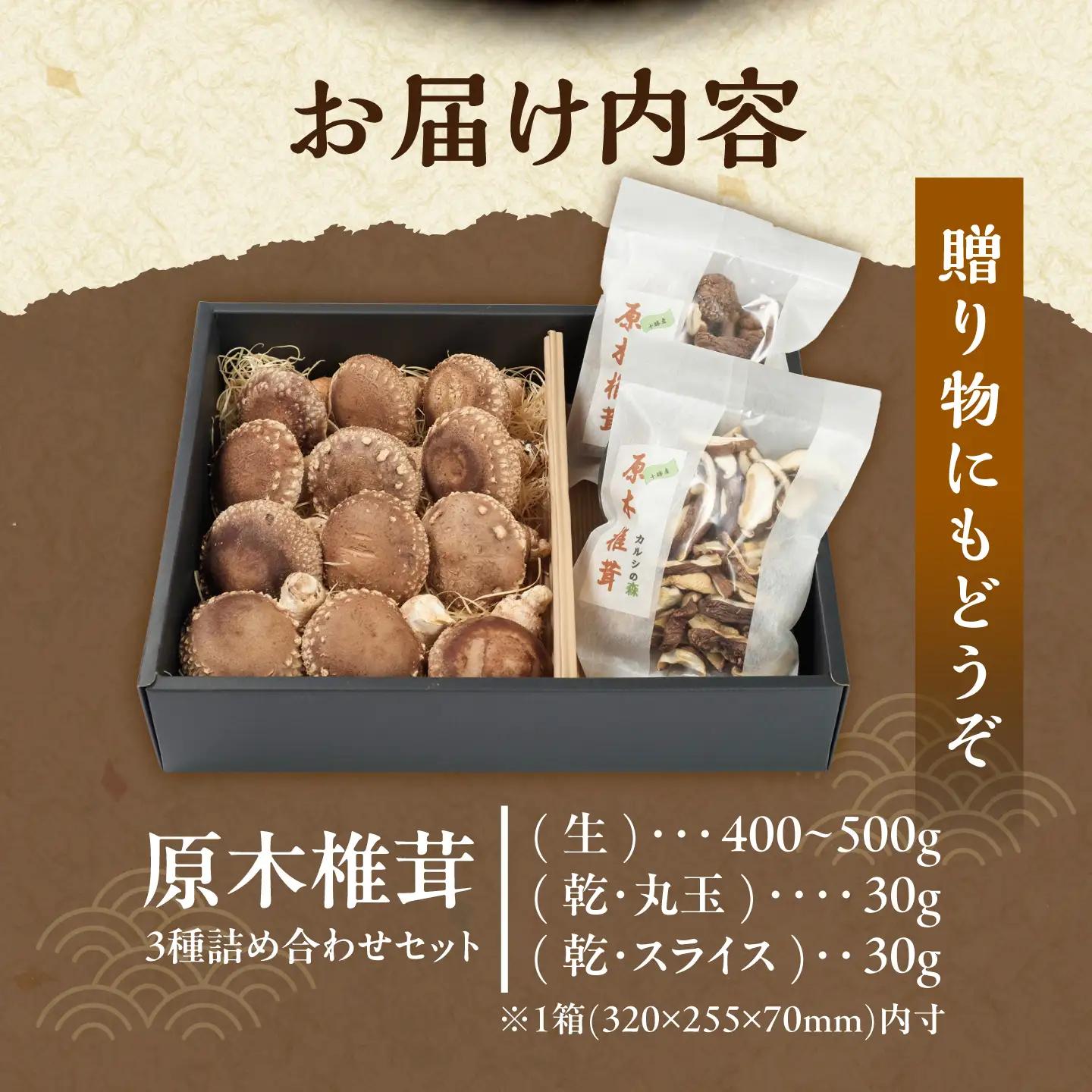 原木椎茸 生･乾燥 詰め合わせセット 椎茸 しいたけ [BNAU001]
