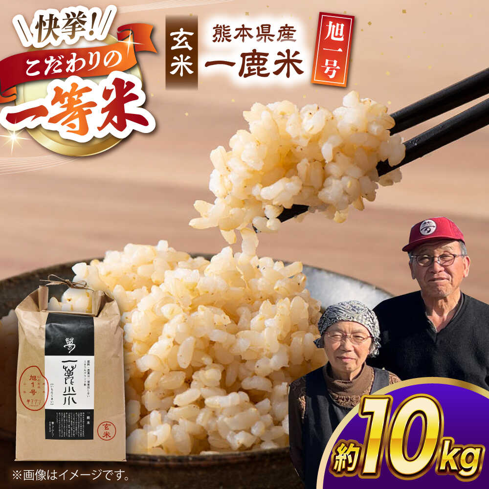 【ふるさと納税】【先行予約】 【天日塩を使用】一鹿米 旭一号 米 玄米 10kg【株式会社 夢アグリ】[ZCL017]