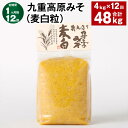 【ふるさと納税】【定期便】【1ヶ月毎12回】九重高原みそ（麦白粒） 1kg×4袋 計48kg（4kg×12回） 麦みそ 味噌 白色系 大麦 大豆 調味料 大分県産 九州 国産 大分県 九重町 送料無料