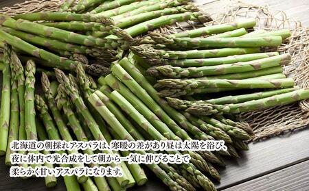 【先行予約】朝採りアスパラ Lサイズ 3kg（500g×6）鮮度保持パック入り 旭川近郊産 露地物(2024年5月中旬発送予定)