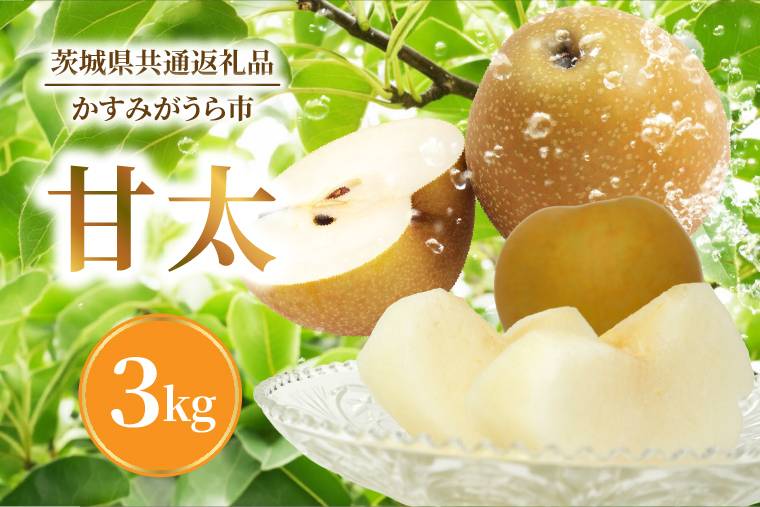 【9月中旬より発送】【数量限定】採れたて 梨 甘太 3kg（茨城県共通返礼品／かすみがうら市）果物 くだもの フルーツ なし ナシ 旬 新鮮 期間限定 産地直送 茨城県 水戸市（FW-15）