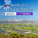 【ふるさと納税】返礼品なし 熊本県八代市 おうえん寄附金(100,000円単位でご寄附いただけます)