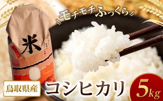米 コシヒカリ 令和7年産 鳥取県産 5kg【こしひかり 米 お米 白米 2025年産 ごはん ご飯 弁当 おにぎり おむすび 国産 人気 おすすめ 鳥取県 琴浦町 送料無料】