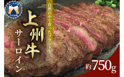 
牛肉 ステーキ サーロイン 【上州牛】 750g 群馬県 千代田町 ブランド牛 肉 冷凍 送料無料 お取り寄せ ギフト 贈り物 贈答用 プレゼント おすすめ キャンプ ソロキャン バーベキュー 国産
