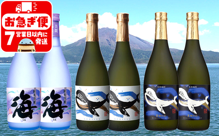 C3-25123／大海酒造 720ml 6本セット