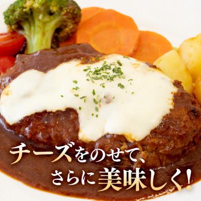 ふるさと納税 茨城町 煮込みハンバーグ 200g×6袋 |  | 03