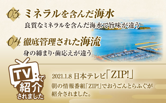 【6回定期便】活〆おうごんとらふぐ刺身セット2人前【（有）松永水産】[KAB154]/ 長崎 平戸 魚介類 魚 うなぎ 鰻 ウナギ 蒲焼 かばやき 定期便