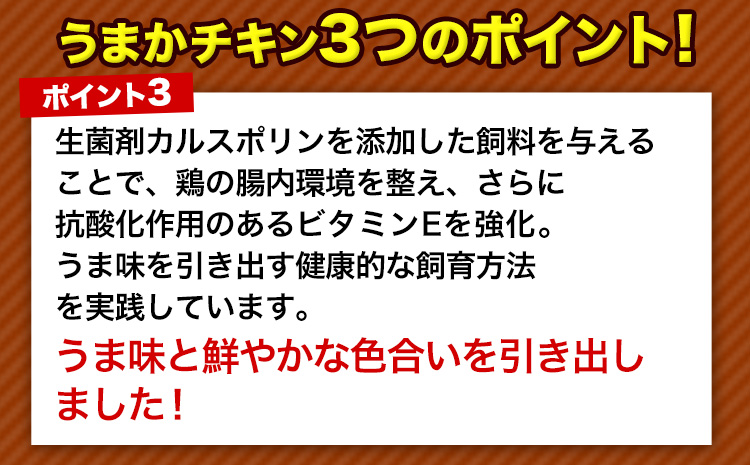 【3ヶ月定期便】うまかチキン 全パックむね肉セット(計1種類) 合計4.34kg 合計 約13.02kgお届け《お申込み月の翌月より出荷開始》冷凍 小分け 胸肉 ムネ肉 冷凍 真空 小分け