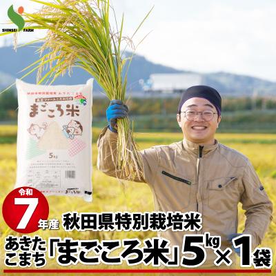 ふるさと納税 大館市 【令和7年産】秋田県特別栽培米あきたこまち「まごころ米」5kg