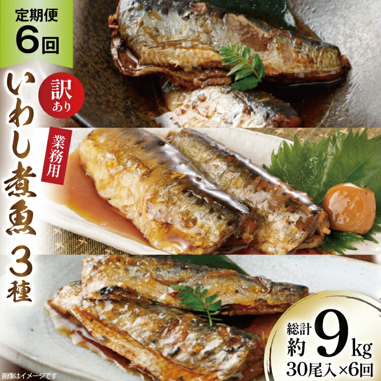 【ふるさと納税】 6回 定期便 訳あり 業務用 いわし煮魚 3種 ×10尾 計30尾入 約1.5kg ×6回 総重量 約9kg [カネダイ 宮城県 気仙沼市 20565564] 魚 魚介 煮魚 国産 生姜煮 梅肉煮 みぞれ煮 おかず 焼き魚 簡単 時短 訳アリ 冷凍