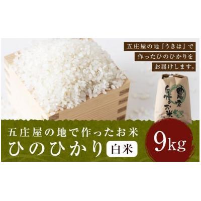 ふるさと納税 うきは市 五庄屋の地で作ったお米 ひのひかり 白米9kg U160-1RC-PD02-09