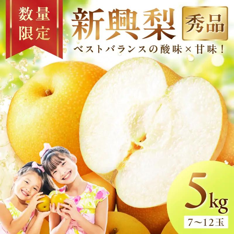 【2026年先行予約】京丹後産 和梨 新興 5kg（秀品）《9月下旬以降発送》