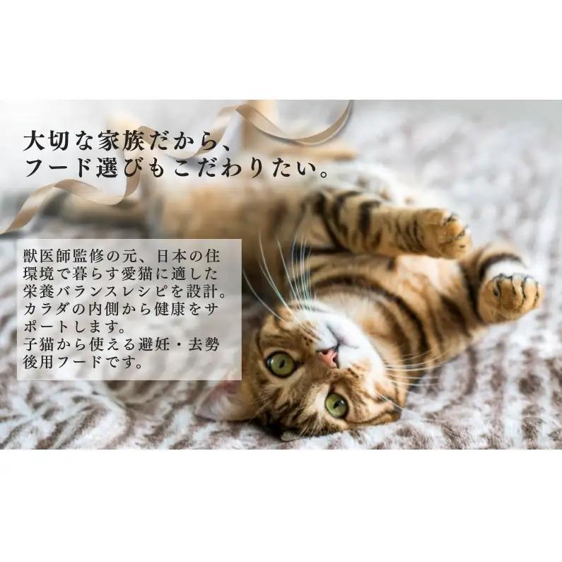 日本ペットフード ビューティープロ キャット 避妊・去勢後用 560g（80g×7袋入）×10袋（ケース） キャットフード