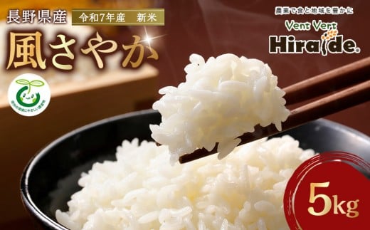 【新米】★数量限定★　令和７年産　風さやか　5kg｜米 長野県産 新米 2025年 白米 精米  人気 おすすめ ごはん 和食  送料無料 長野県 大町市 ふるさと納税