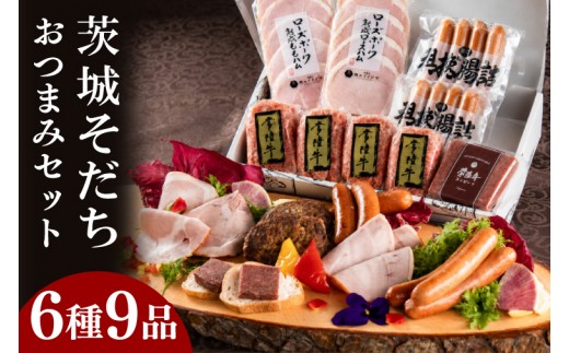 
                  ハム ソーセージ 詰め合わせ ギフト 茨城そだち おつまみセット 常陸牛無添加ハンバーグ 国産 コンビーフ ローズポーク チョリソー 冷凍 ギフト対応 お取り寄せ グルメ  茨城県 水戸市 肉のイイジマ （DU-94）
                