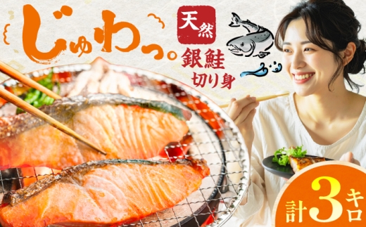 銀鮭　切り身　3kg　広川町 / 株式会社イールファクトリー [AFBS027]