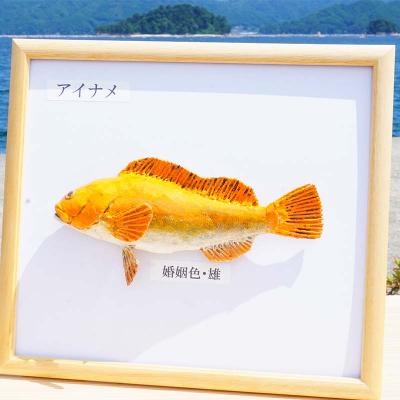 ふるさと納税 山田町 手作り 本物そっくり魚の模型 2点 |  | 01
