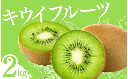 【先行予約】湯の花　キウイフルーツ 2kg（20玉前後）【キウイ 果物 フルーツ 伊豆 南伊豆 大容量】　<BC-92>
