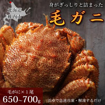 ふるさと納税 稚内市 【ボイル済み急速冷凍】身がぎっしりと詰まった毛ガニ650〜700g×1尾 | 