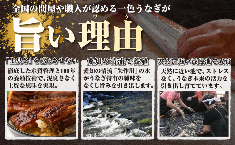 三河一色産うなぎ蒲焼 2尾（約320g）化粧箱入・O061-240