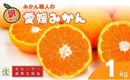 訳あり 愛媛みかん 1kg 人気 みかん 冬 秋 旬 糖度 糖度計 厳選 光センサー選果 柑橘 みかん かんきつ 果物 くだもの 国産みかん 少量 お試しみかん フルーツ スイーツ デザート ご褒美 みかん 蜜柑 大小 サイズ ミックス 不揃い 傷 温州 温州みかん ビタミン 美味しい 農家直送 地場産品 こだわり みかん職人武田屋 愛媛県 愛南町 