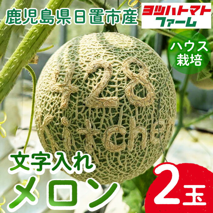 【ふるさと納税】＜先行予約受付中！2025年7月～8月の間に発送予定＞文字入れできます！ハウスメロン(2玉) 国産 九州産 メロン フルーツ 贈答 ギフト 先行予約 予約 産地直送 文字入れ 名入れ オーダー 感謝 母の日 父の日 敬老の日【ヨツハトマトファーム】