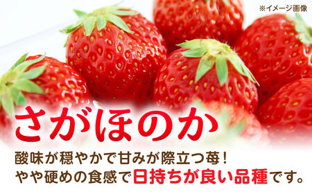 【先行予約】3品種いちごの食べ比べセット（恋みのり/さがほのか/ゆうべに）百花園ファーム 約1.4kg（約350g×4P）20粒/P Lサイズ 【亀井通産 株式会社】[AYBQ086]