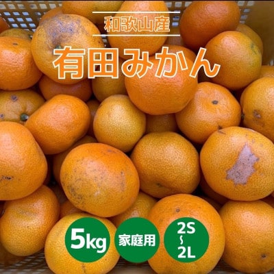 和歌山県産　有田みかん　5kg　家庭用【1309708】