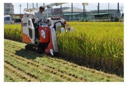 五つ星 お米マイスター 厳選！ 埼玉県産 ピロール米 新生 夢ごこち 約5kg （7分づき） ｜ 米 コメ お米 ごはん 美味しい 健康 食品 食材 栄養豊富 高品質 自然栽培 高栄養価 ミネラル 弱