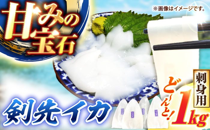 
                  【冷凍】剣先イカ 刺身用 1kg　剣先烏賊 《壱岐市》 【一支國屋】海鮮 烏賊 イカ いか 刺身 刺し身 お刺身 剣先イカ 冷凍配送  イカ刺身 いか刺し 鮮度抜群 海産物 魚介 肉厚 濃厚 甘味 心地よい食感 手間いらず 急速冷凍 新鮮 一本釣り 天ぷら バターソテー ふるさと納税 [JCC021] 海の幸
                