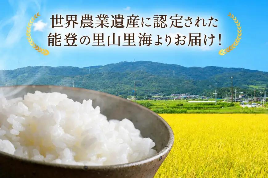 【期間限定発送】 米 定期便 コシヒカリ 白米 5kg 12回 総計 60kg